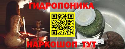 стаф Кулебаки